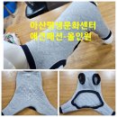 문화애견 이미지