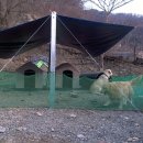 개똥이네캠핑장 이미지