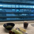 당월 | 인천공항 혼잡도 미국 출국심사 쏠트래블 당월 마티나라운지 후기