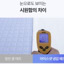 우리넷정보기술 | 무더위 위생 아이스넷 냉감 패드(SS/Q/K) 고정밴드 쿨매트