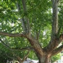 패밀리오토캠핑장 이미지