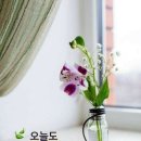 60대 이후의 우리네 인생 이미지