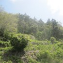 남해-236 이미지