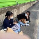 경포왕만두 네이버블로그