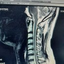 동서마취통증의학과의원 이미지