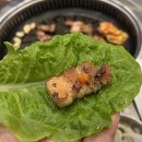 [이가네고기사랑] 용인 포곡 둔전역 근처 한돈 삼겹살 맛집