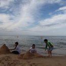 송지호 오토캠핑장 이미지