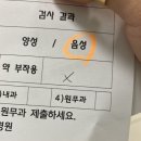 코끼리휴병원 네이버블로그