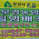 싱싱와글와글 이미지
