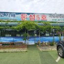 문성5호 이미지