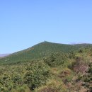 솔오름주차장 이미지