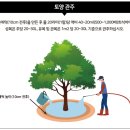 비타플러스 - 서초구 | 비타플러스