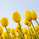 청산동물병원 이미지