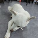 복희공인중개사사무소 이미지