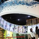 곤충생태관_1 이미지