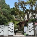 산골음식 이미지