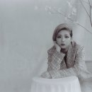 팬더컴퍼니 이미지