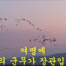 토교로 이미지