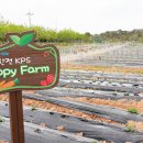 한전농장 이미지