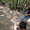 뒷말어린이공원 Daum카페