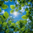 바이크포션