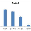 미백 이미지