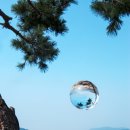 단국대학교 이미지