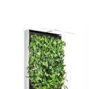 파라다이스D 이미지