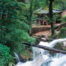 GR(순창군)-[장류로]-상-16 | 전남 / 담양 / [新택리지] 천천히 느리게 사는 ‘슬로시티 담양’