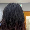 피앤피제주 네이버블로그