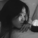 스냅렌탈 네이버블로그