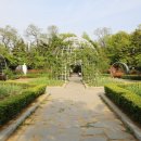 서곶근린공원 족구장 이미지