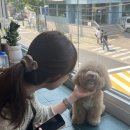 소소막창 이미지