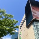 현대백화점 앞 | 드브르베 현대백화점 무역센터점 팝업 후기 | 브랜드 앞치마 신혼 집들이 선물 추천