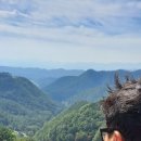 형제조류 이미지