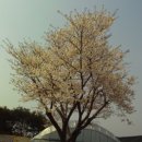 소월농장 이미지