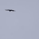 설성면행정복지센터 이미지