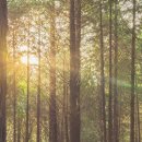 봉계4길 이미지