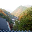 (주)메디푸드글로벌 이미지