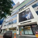 대경연합동물영상센터 | 대구 24시 동물병원 죽전동물메디컬센터 고양이건강검진 비용