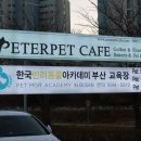 피터펫카페본점 이미지