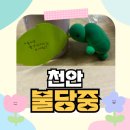천안불당중학교 이미지