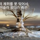 ＜와디(Wadi)의 기억 ＞ 시,사진:김세영, 배경음악: SUNO AI 이미지:GROK 이미지
