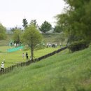 함평파크골프장 이미지