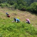 녹색드림협동조합 이미지