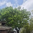 명지항외과의원 이미지