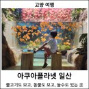[고양 여행] 일산 아쿠아플라넷 : 일산 아이와 가볼 만한 곳, 일산 아쿠아플라넷 할인