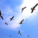 김미화마을 이미지