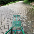 금대에코힐링캠핑장 이미지