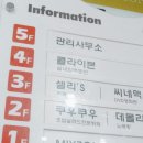 초보자 강습 취미로 좋은 광주 실내 클라이밍 암벽등반 / 충장로 클라이븐 클라이밍 컴퍼니 후기